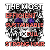 ebook-the-most-efficient-and-sustainable-way-to-full-and-strong-hair-cover